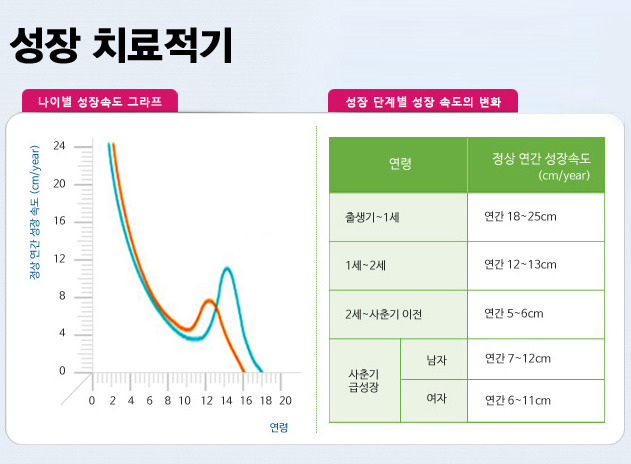 키가 커지는 방법 - 성장 클리닉 치료 리뷰 예상 키에 맞게 키가 커지는 팁