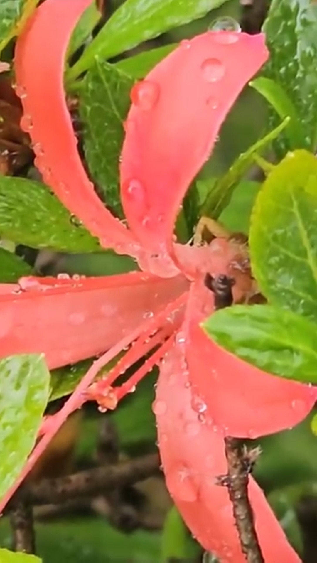카지노 게임 사이트