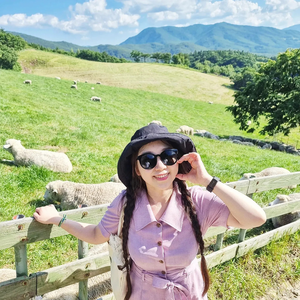 05화 안녕, 알프스 소녀 하이디