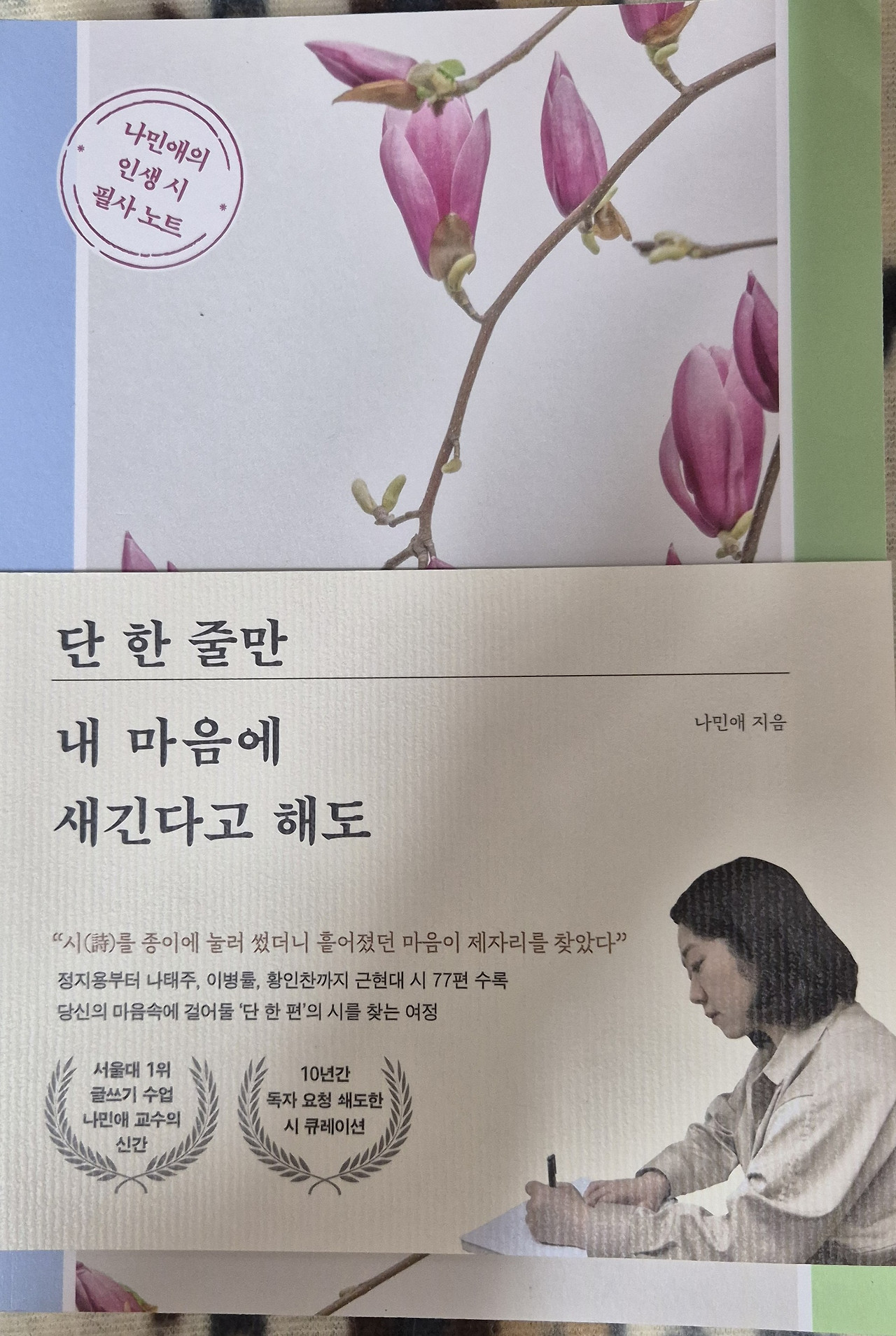 네가 그리우면 나는 울었다.