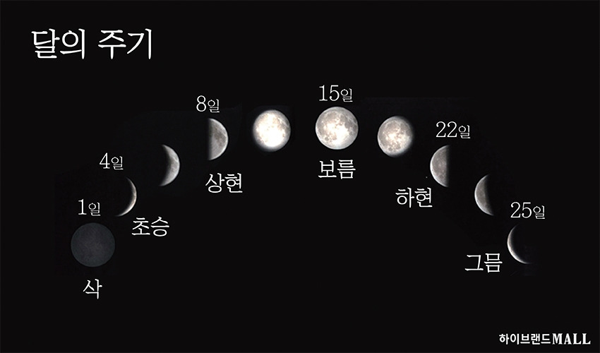 저는 삭이 되었습니다