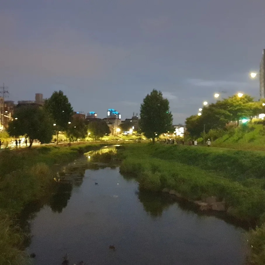 무료 카지노 게임