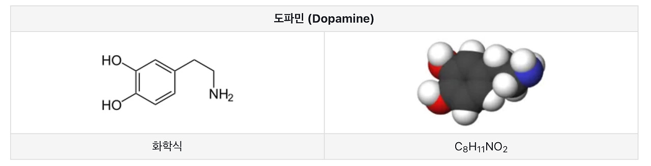 도파민네이션