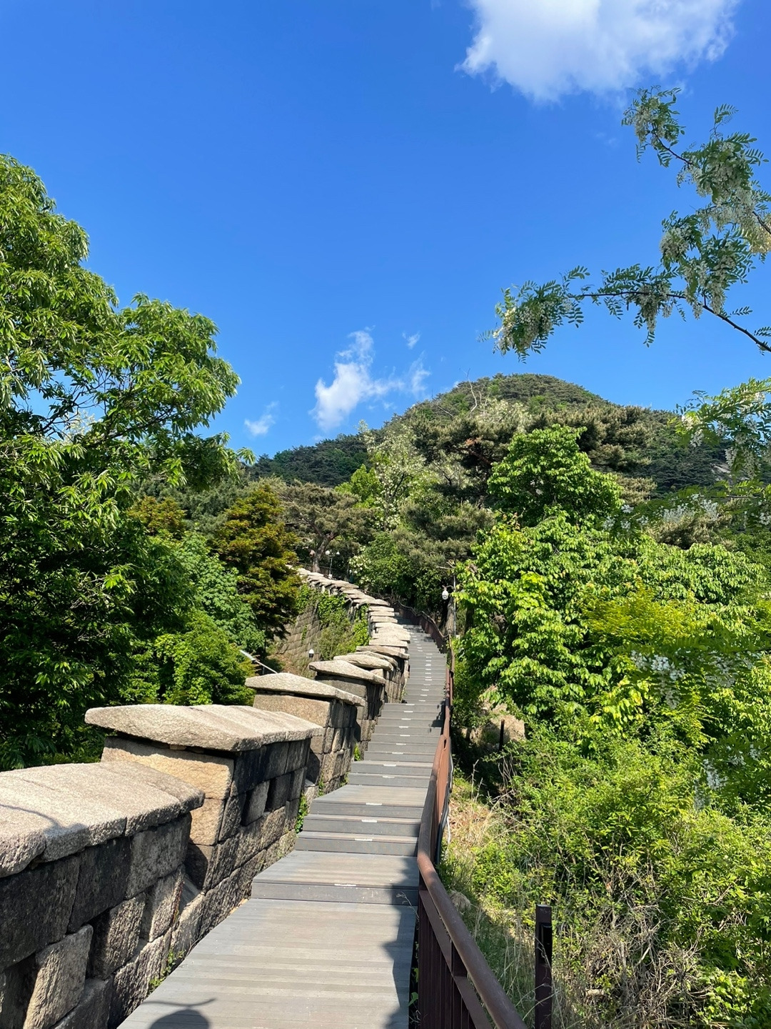 한적한 산길 따라서: 무소음