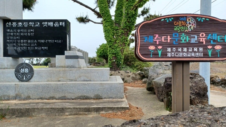 무료 카지노 게임