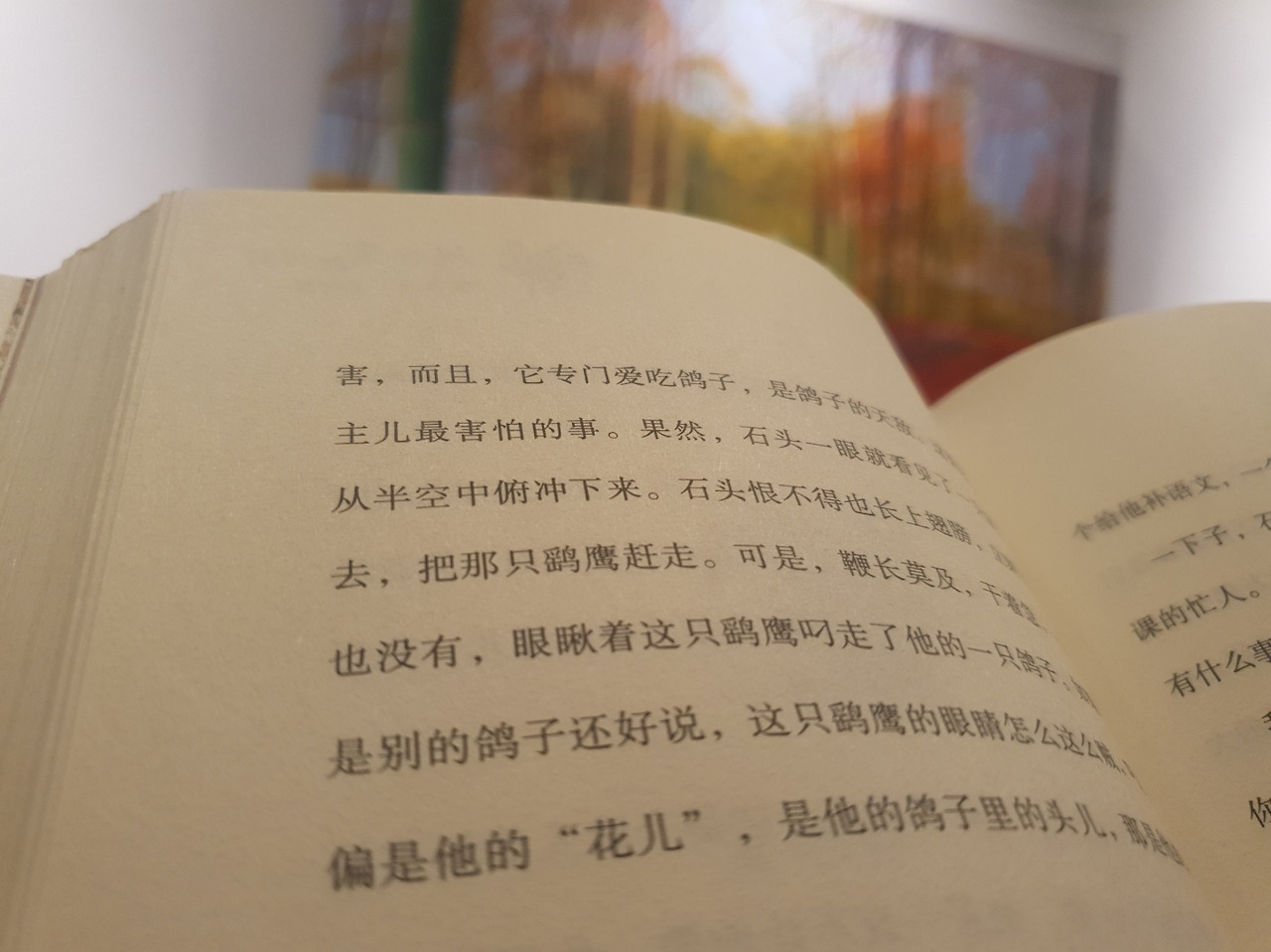 카지노 가입 쿠폰