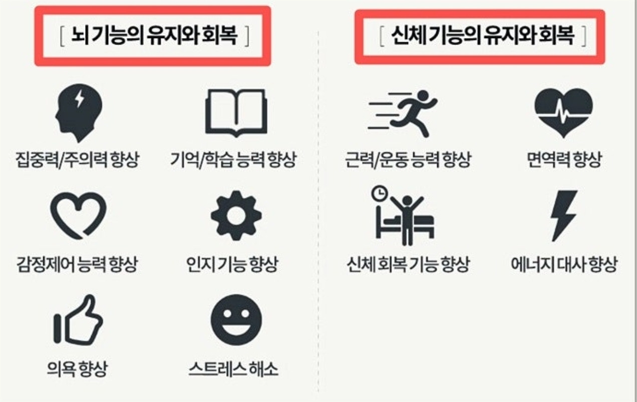 온라인 카지노 게임