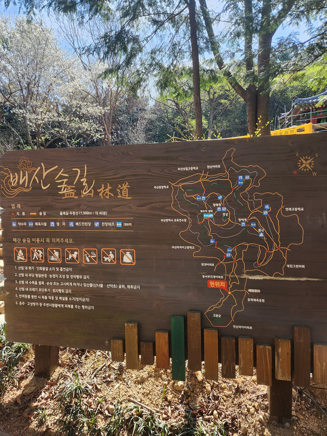 카지노 게임 사이트