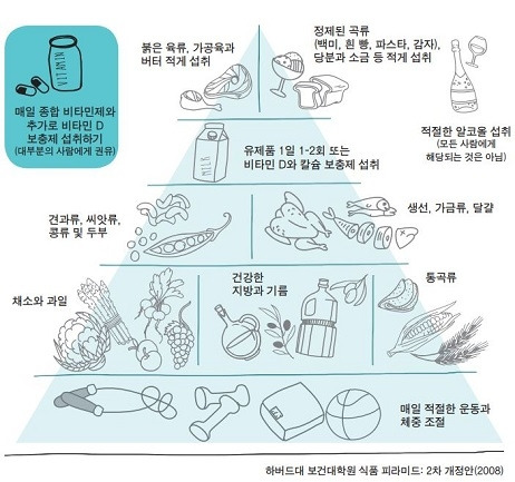 여에스더는 왜 영양제를 처방하는 의사가 되었나 #2
