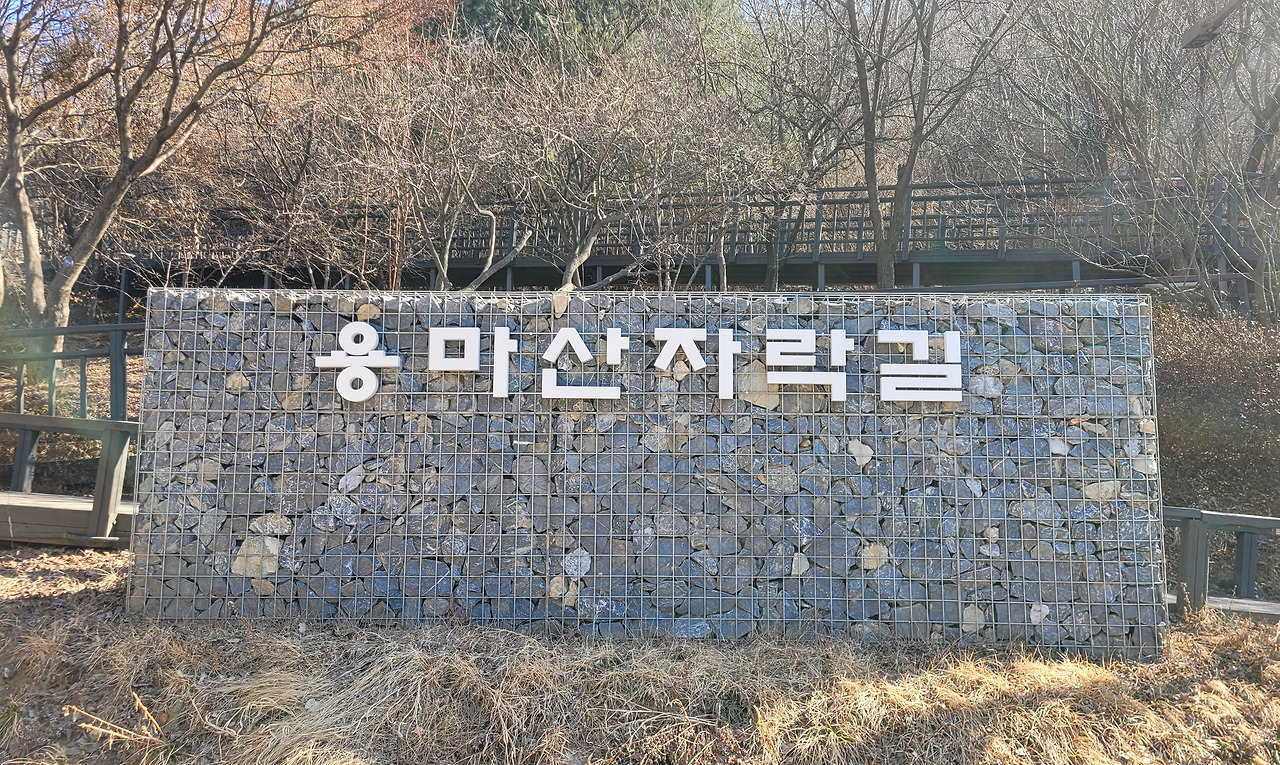 무료 카지노 게임