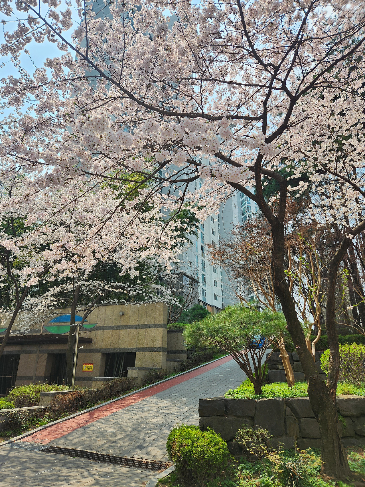 카지노 가입 쿠폰