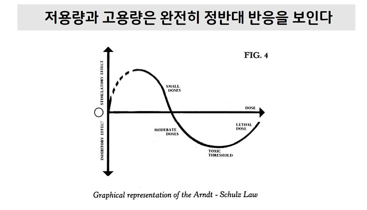 코인 카지노 사이트