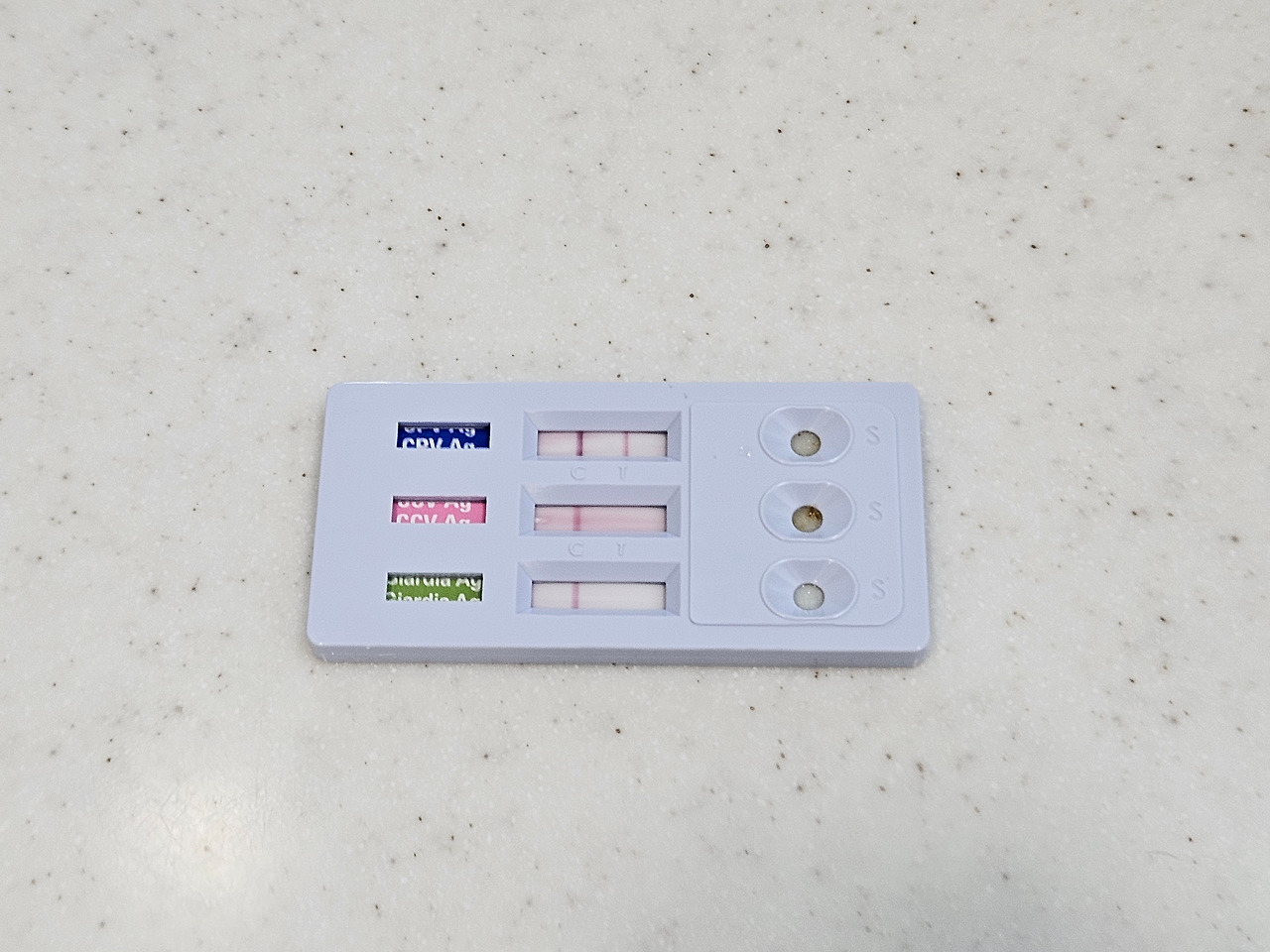 카지노 게임 사이트