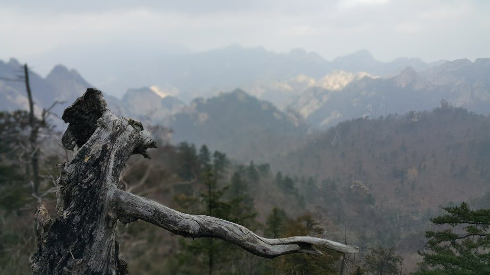 카지노 가입 쿠폰