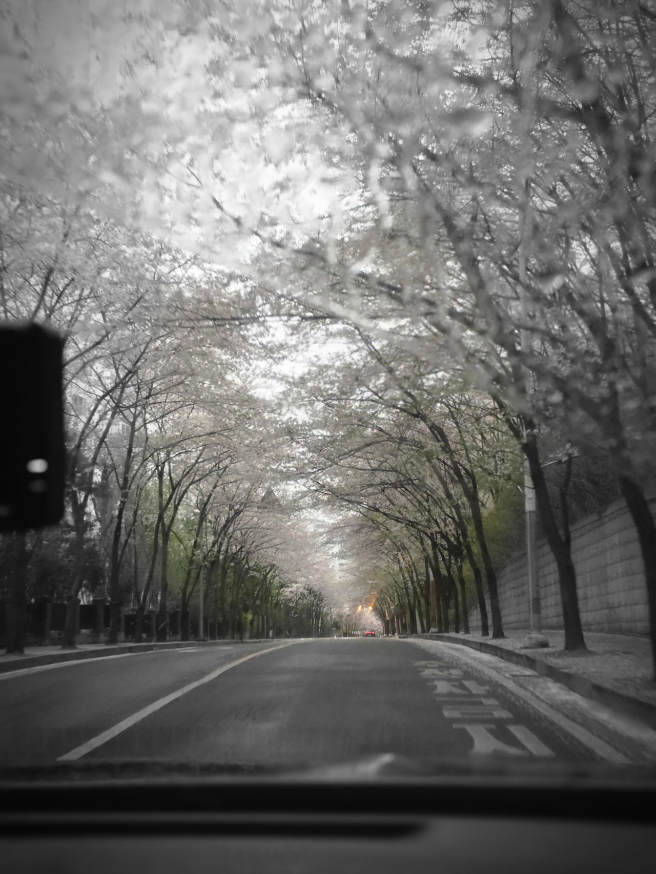 카지노 게임 사이트