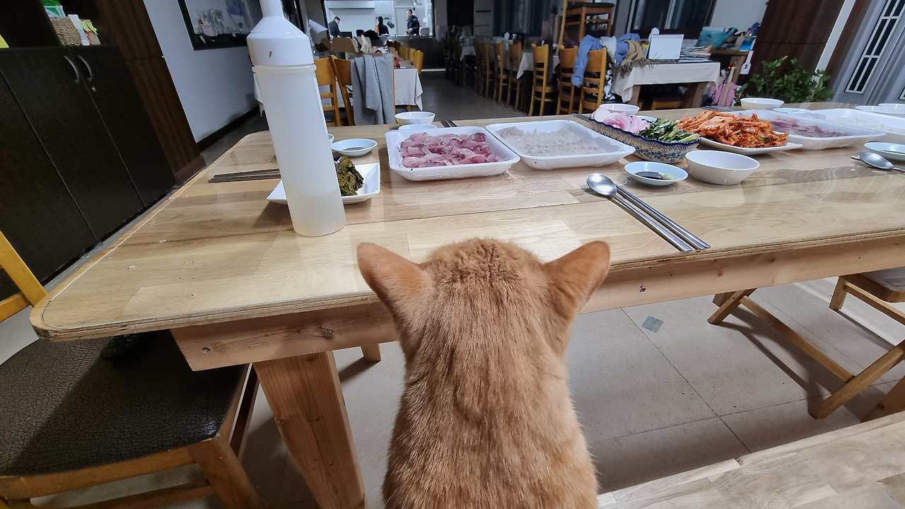카지노 게임 사이트