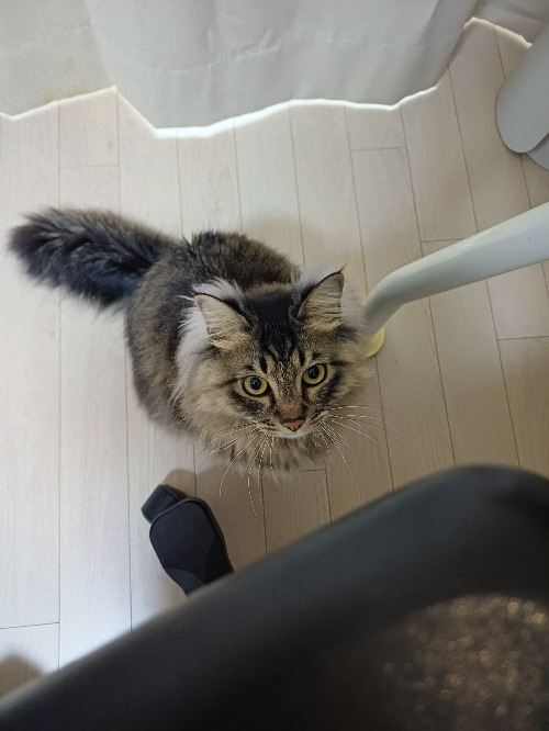 카지노 게임