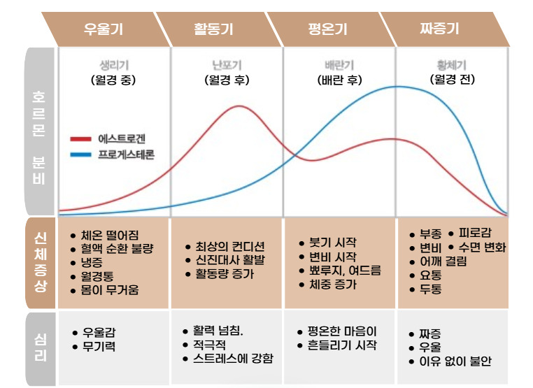 무료 카지노 게임