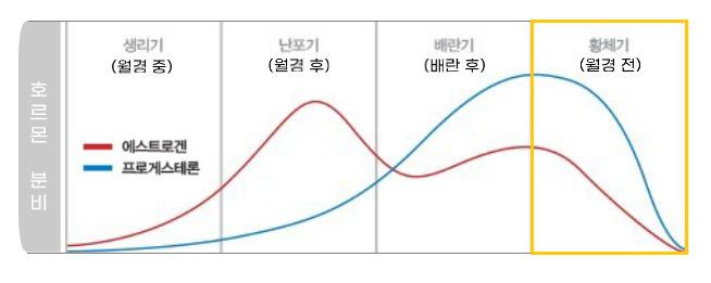 무료 카지노 게임