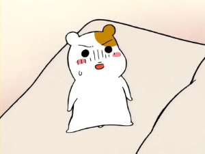 카지노 게임 추천