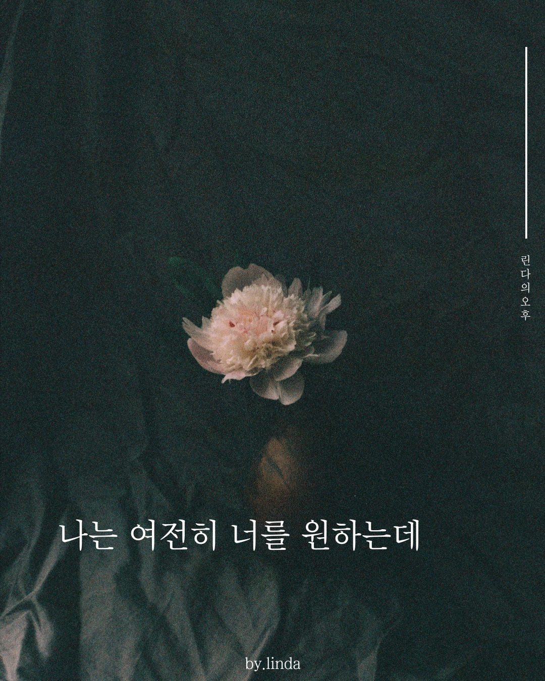 카지노 게임