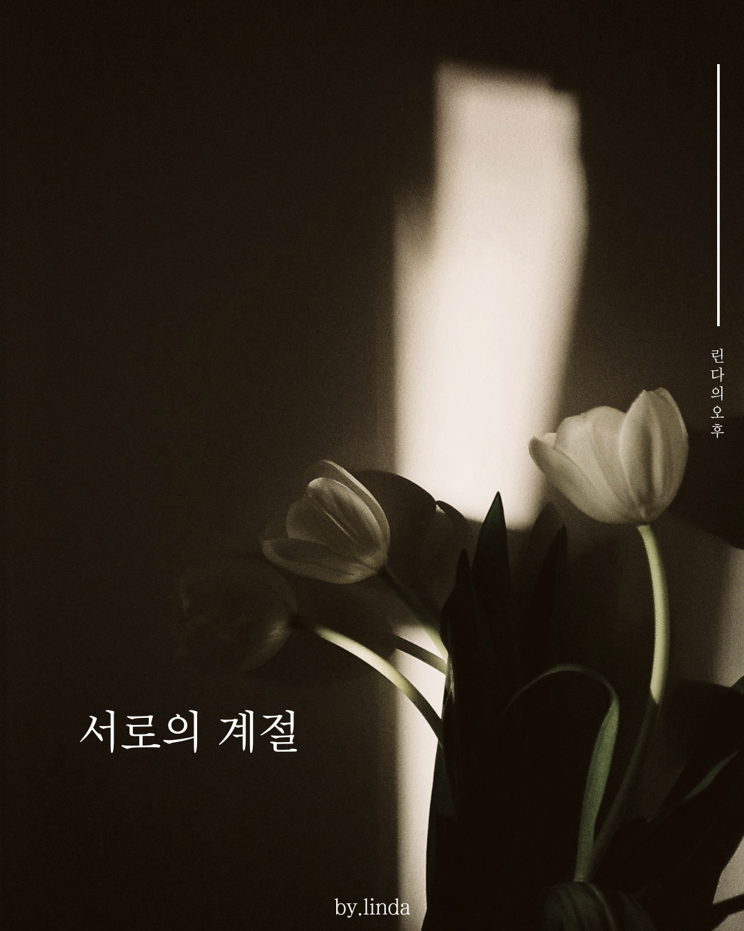 카지노 게임