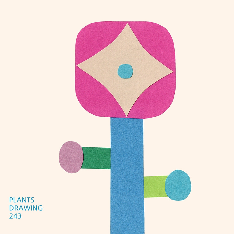 Plants drawing 243