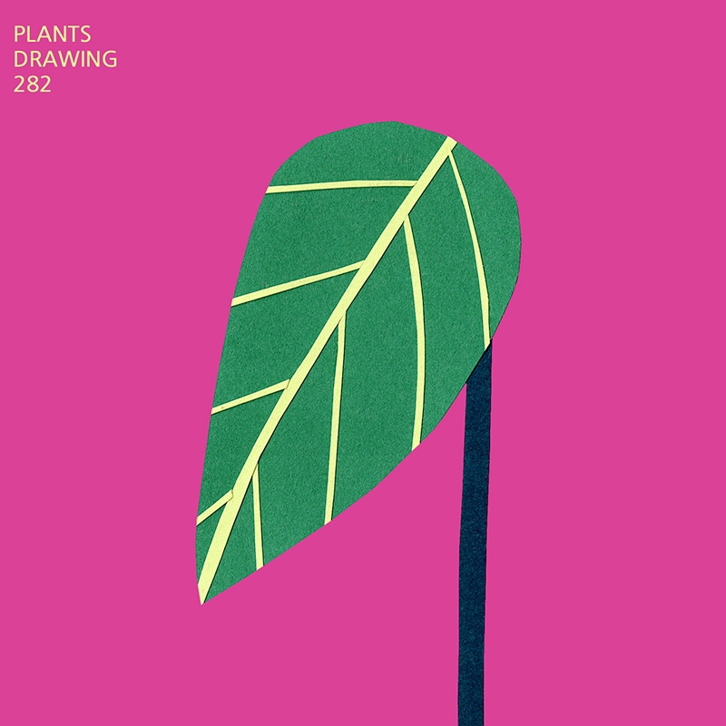 Plants drawing 282