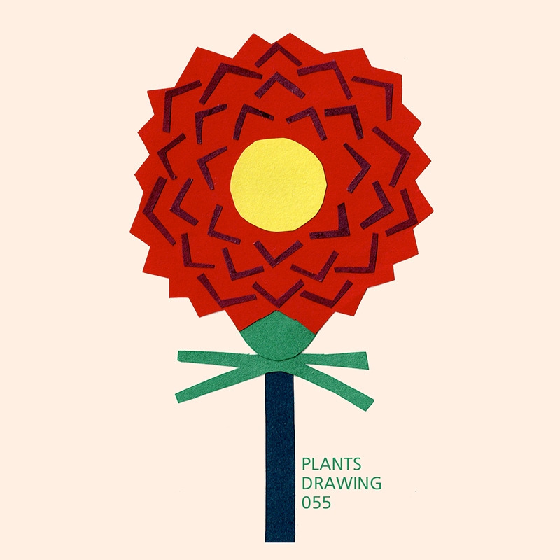 Plants drawing 055
