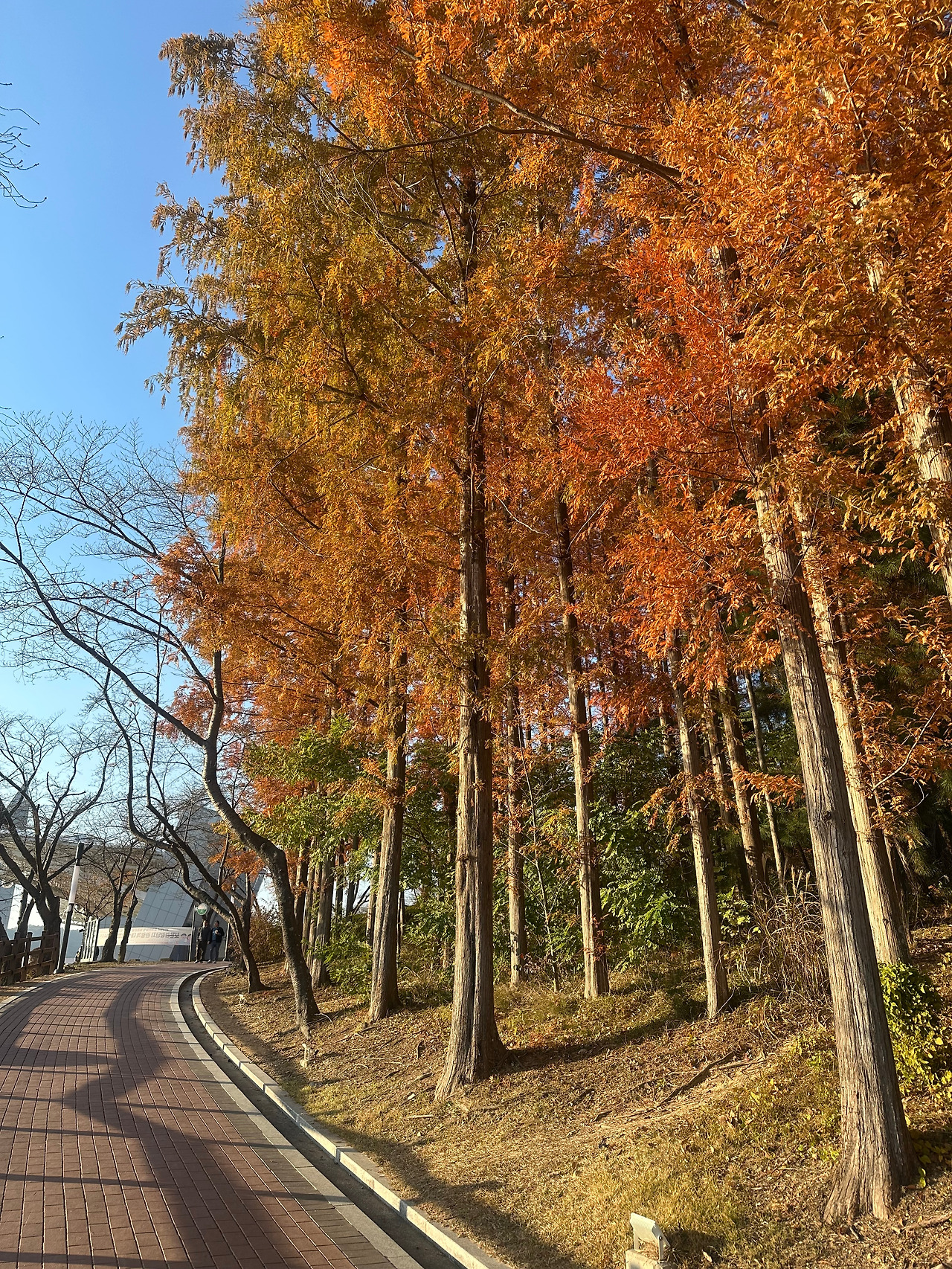 오후 4시의 공기