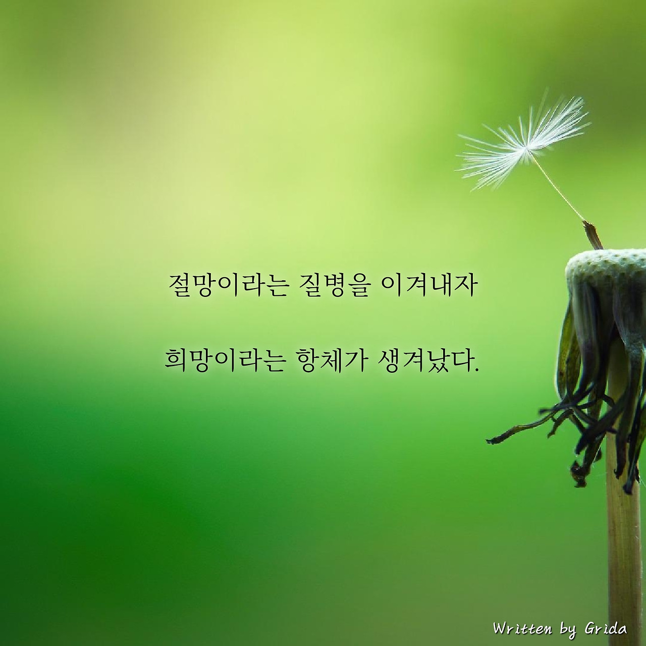 희망