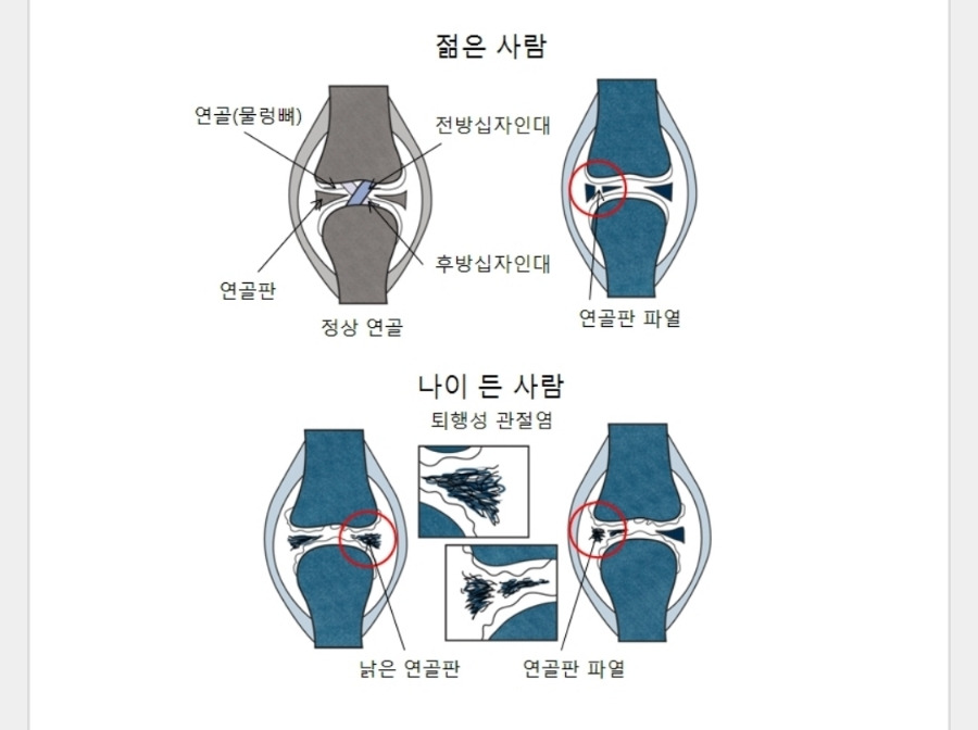 바카라 토토 사이트