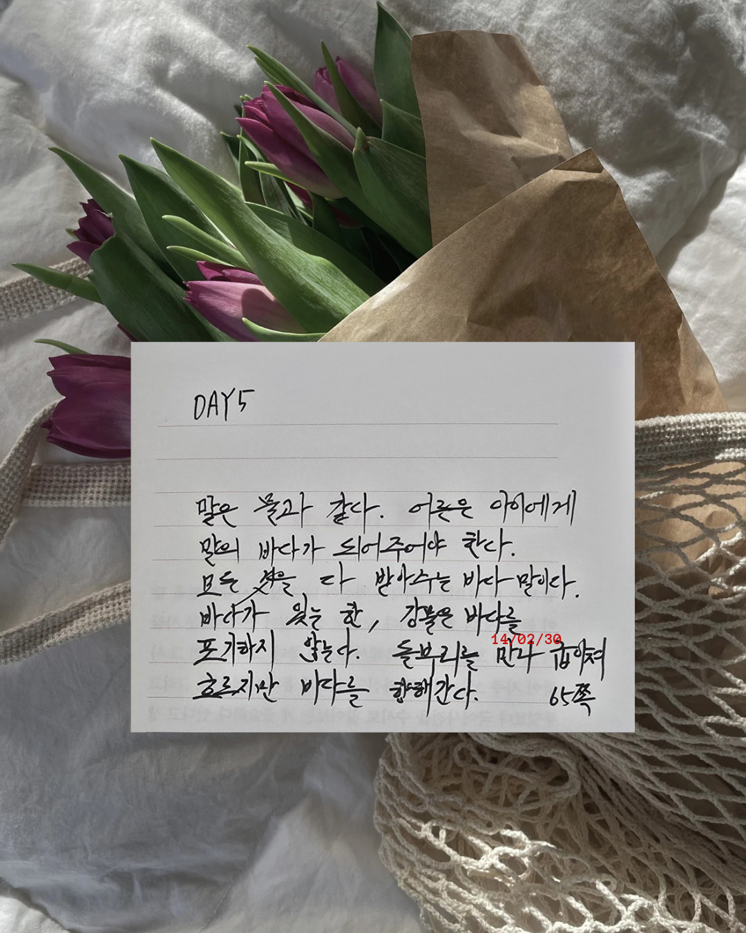 카지노 게임