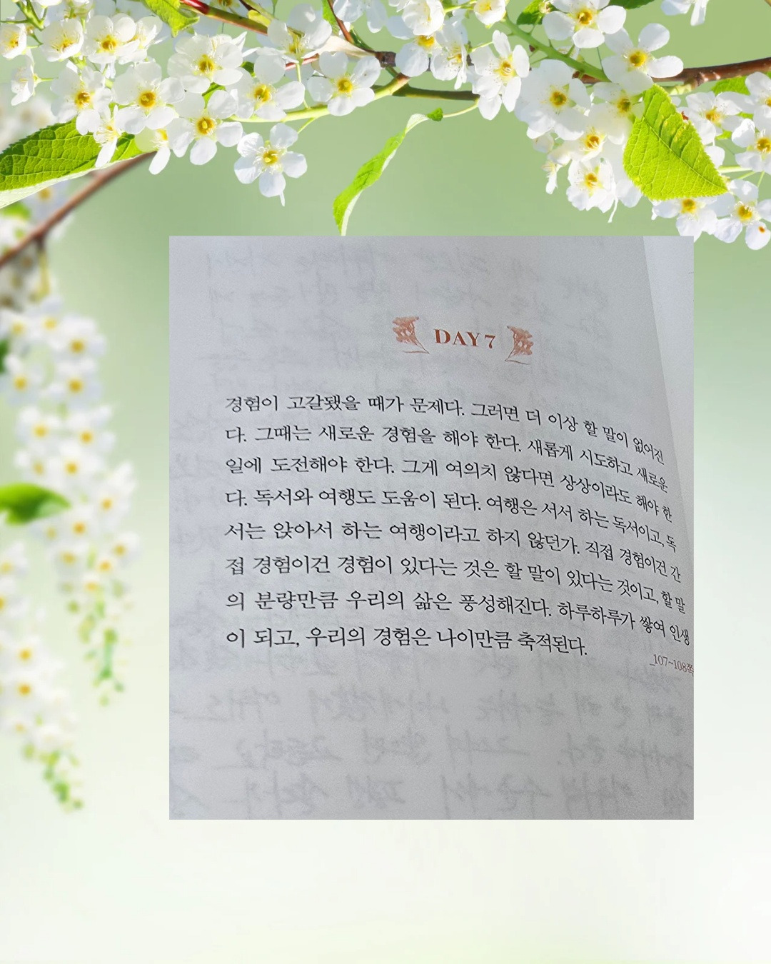 카지노 쿠폰