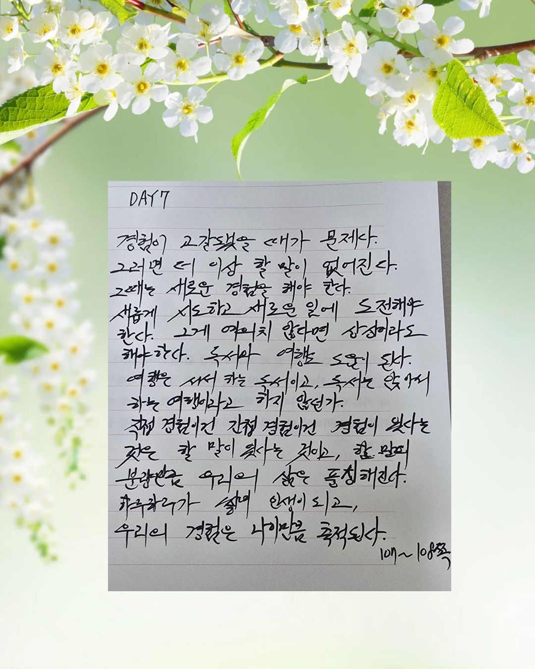 카지노 쿠폰