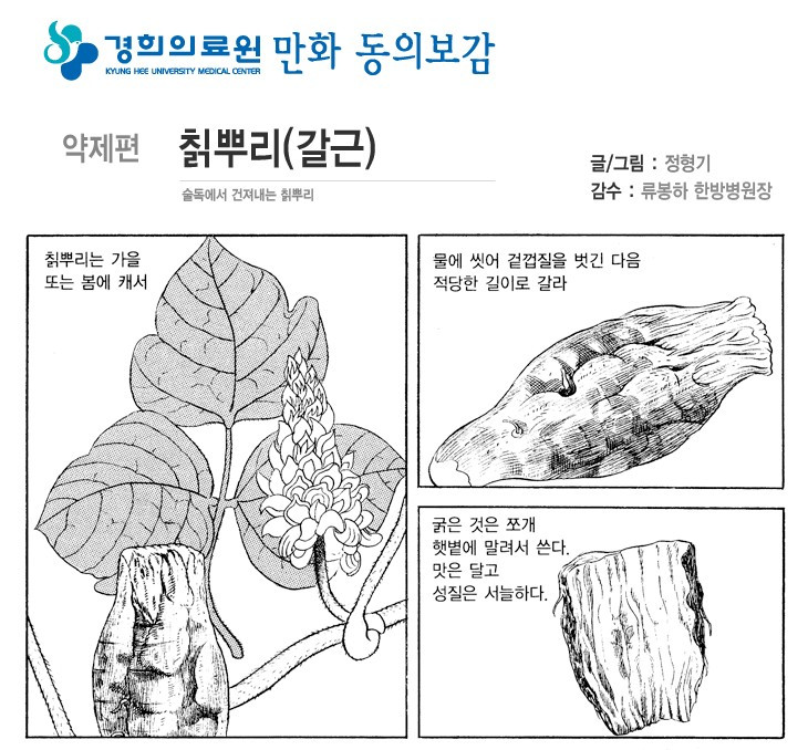 갈즙효능 중년여성 에스트로겐 풍부 당뇨병 심장병 암예방