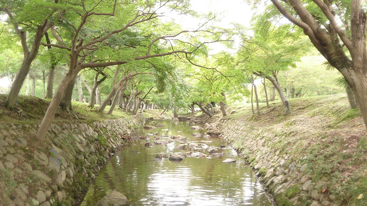 내 딸들이 이렇게 길을 걸어갔으면