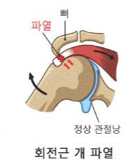 그렇게 행동하는 이유?