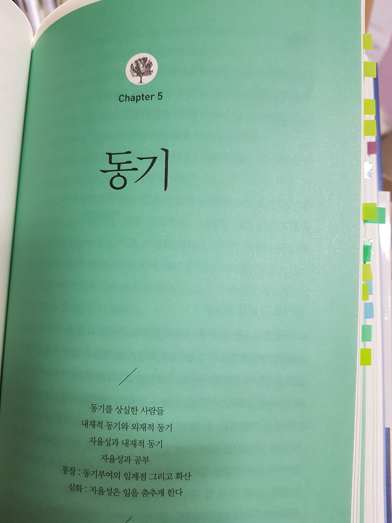 동기부여의 힘