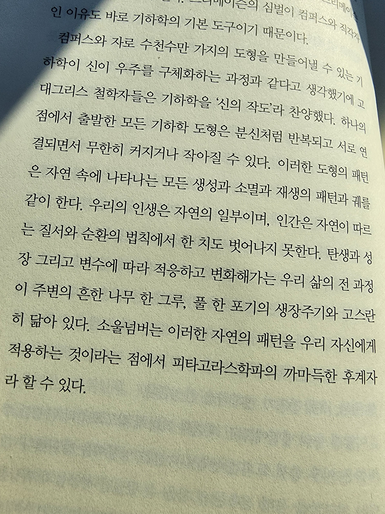 카지노 게임