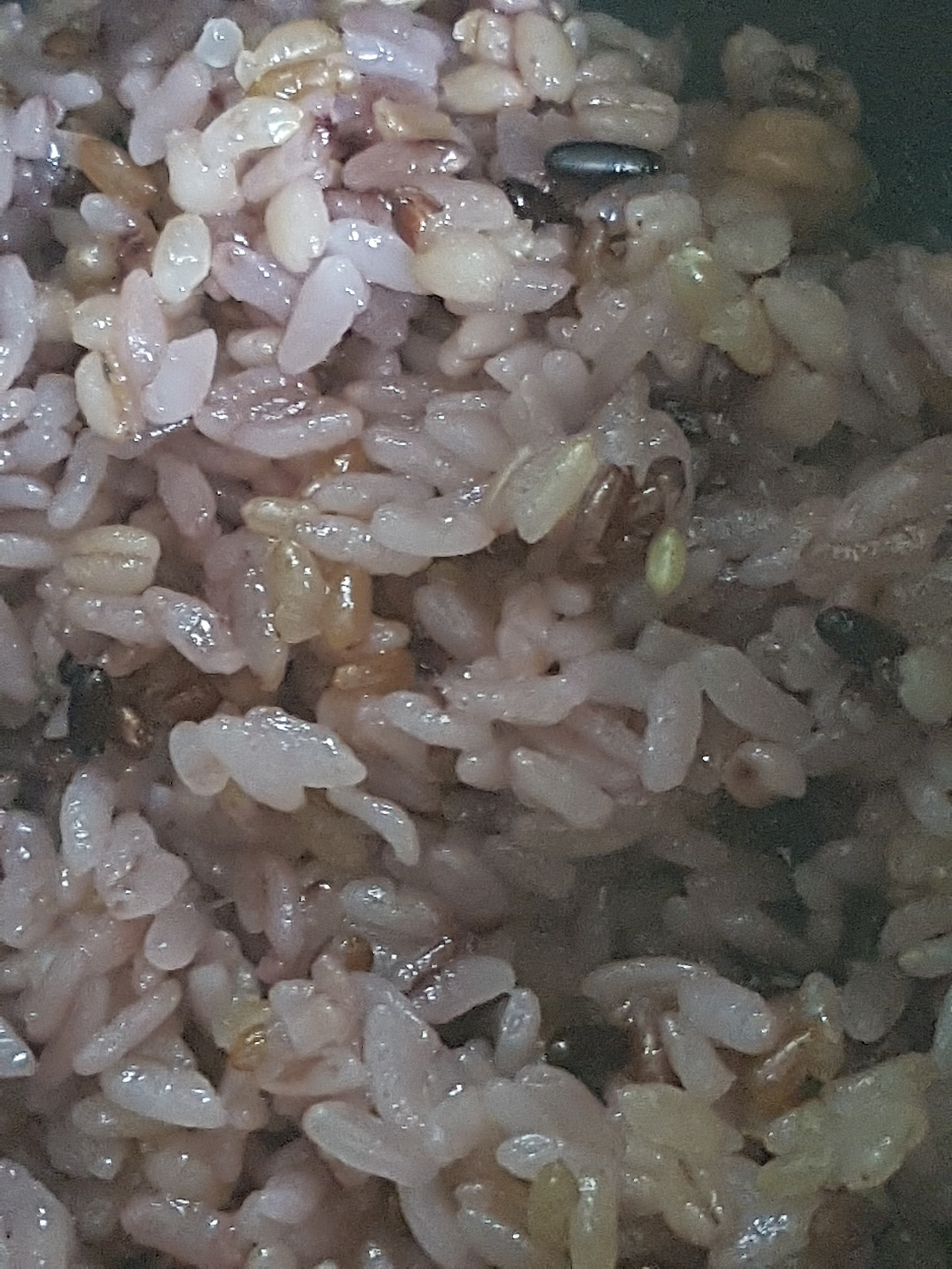 (시) 첫 밥