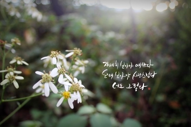 아침이 주는 여유