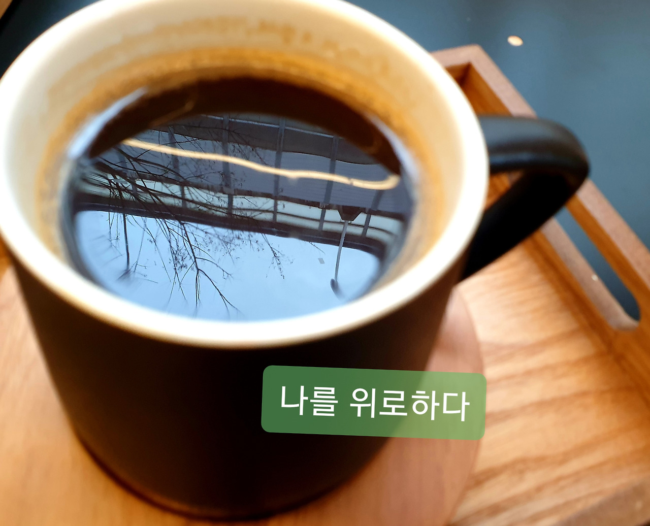 나를 위로하다 196 한잔송