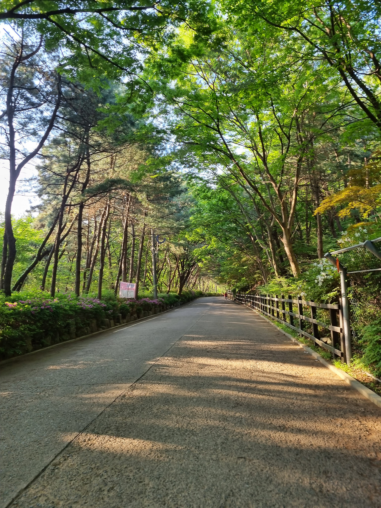 카지노 게임 추천