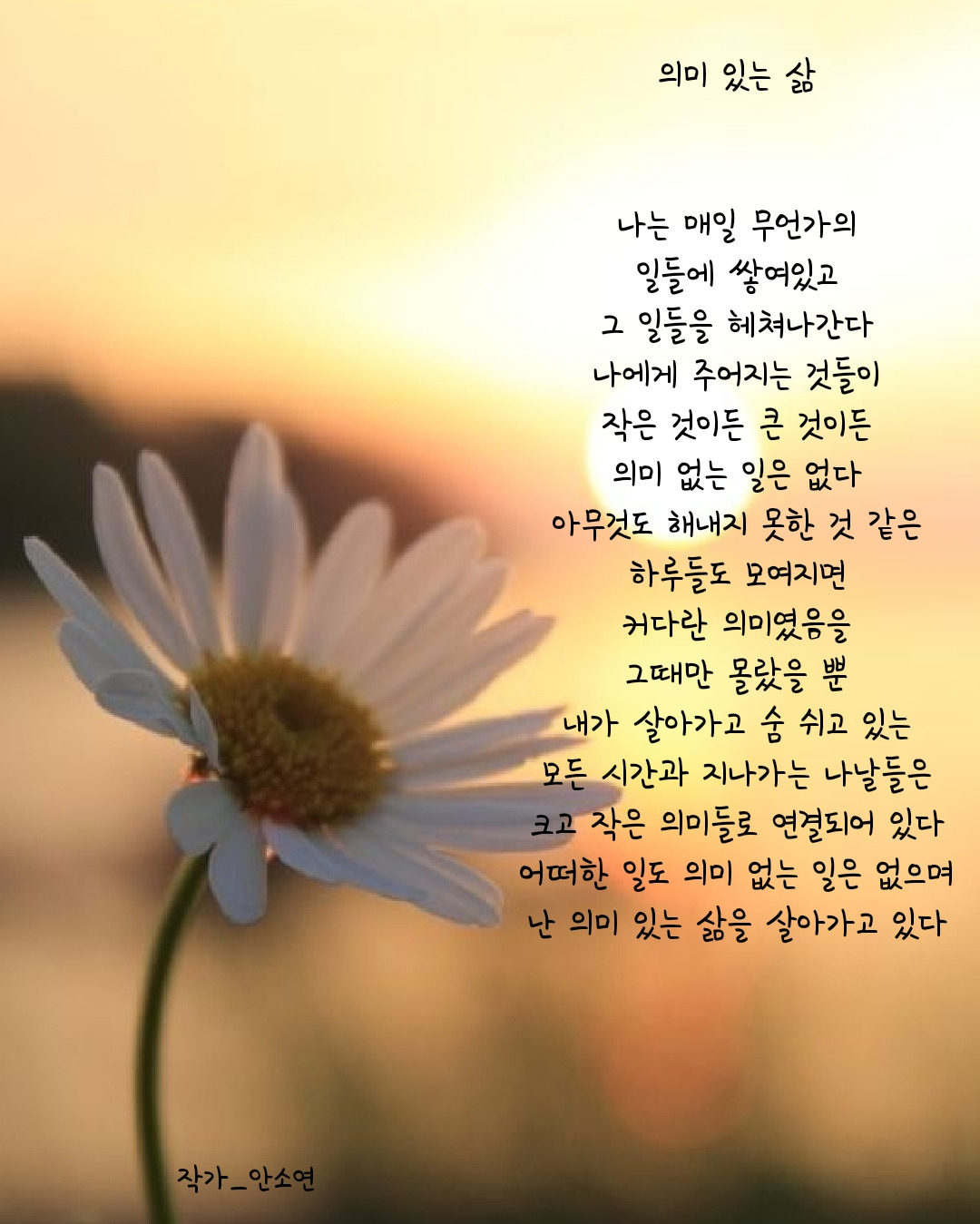 의미 있는 삶