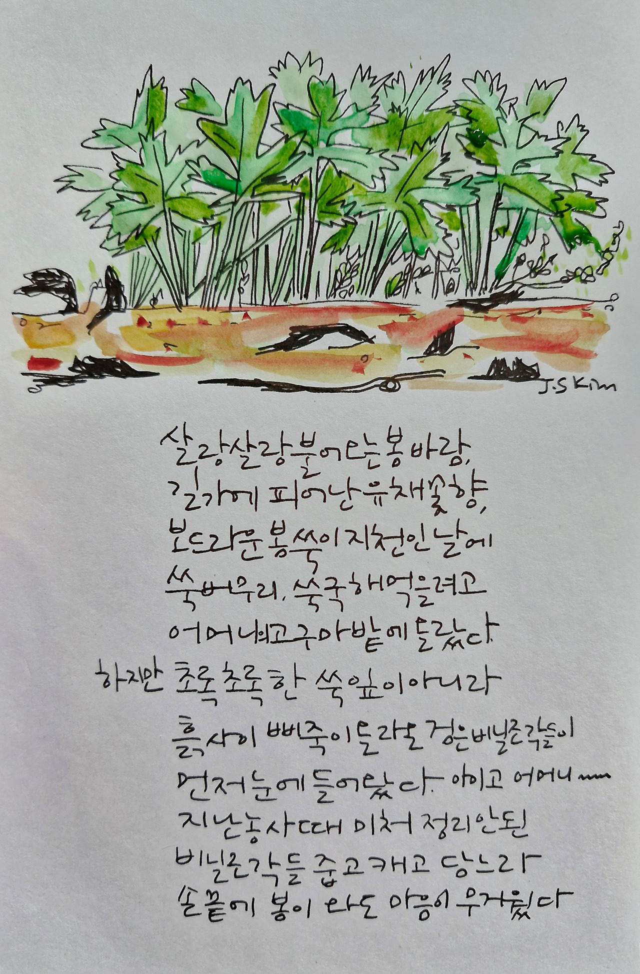 카지노 가입 쿠폰