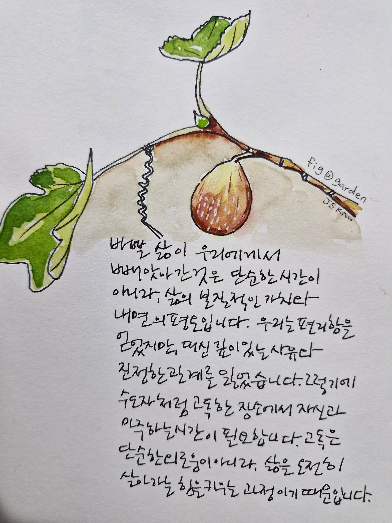 카지노 쿠폰