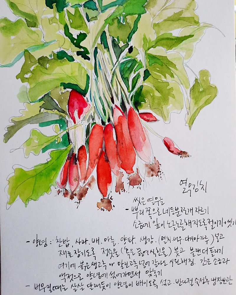 카지노 게임