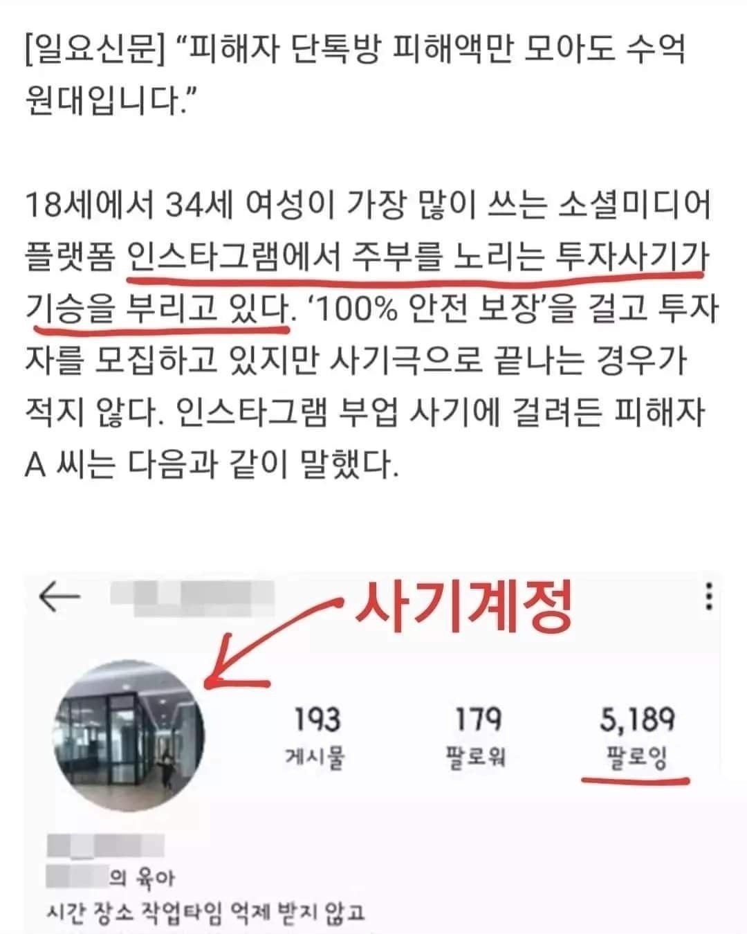 카지노 게임 사이트