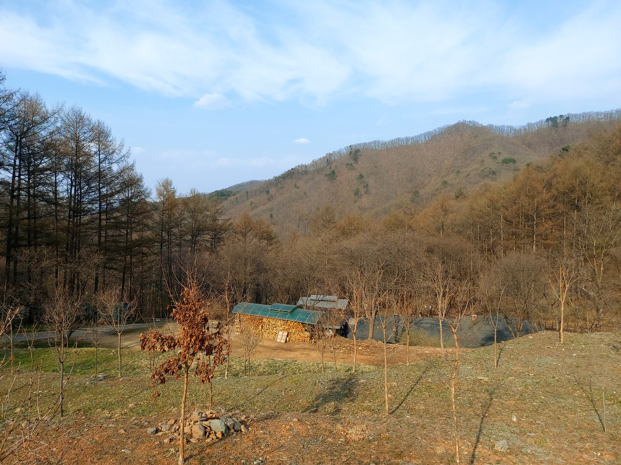 강원구내식당 이미지